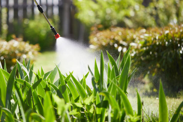 24/7 Emergency Mosquito Control experts in Marysville, PA