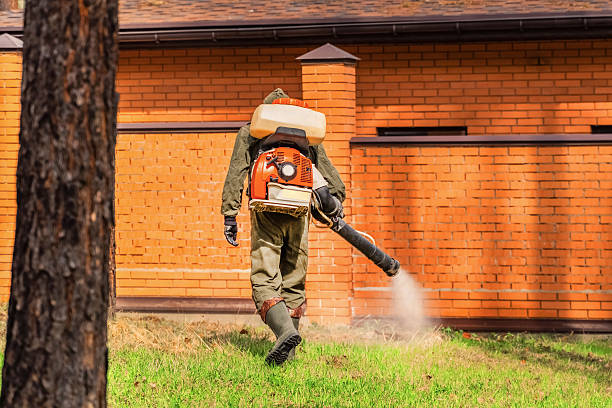 Trusted Termite Control service in Marysville, PA - Nex Pest Control